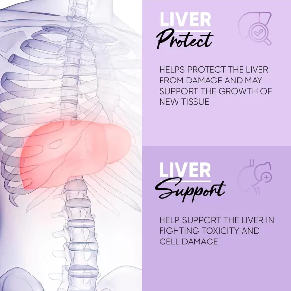 Private Label Bulk Supplements Gummy For Liver Detox - 画像 (3)