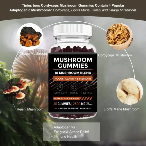 Private Label Mushroom Gummies Wholesale For Boosts Immunity-1